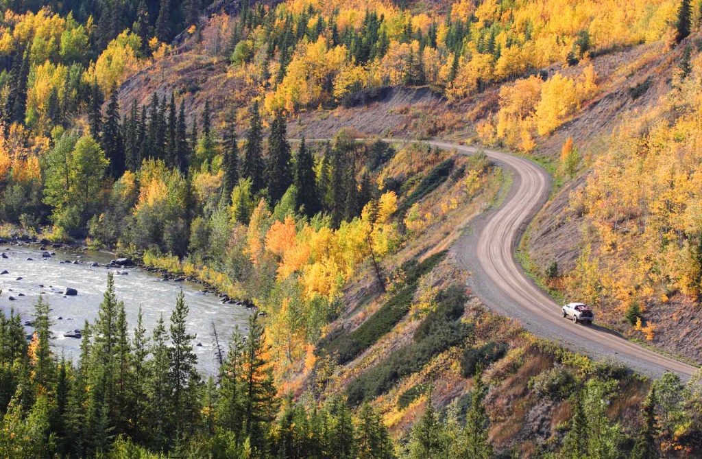 An image of a car driving through a dense, colorful forest.