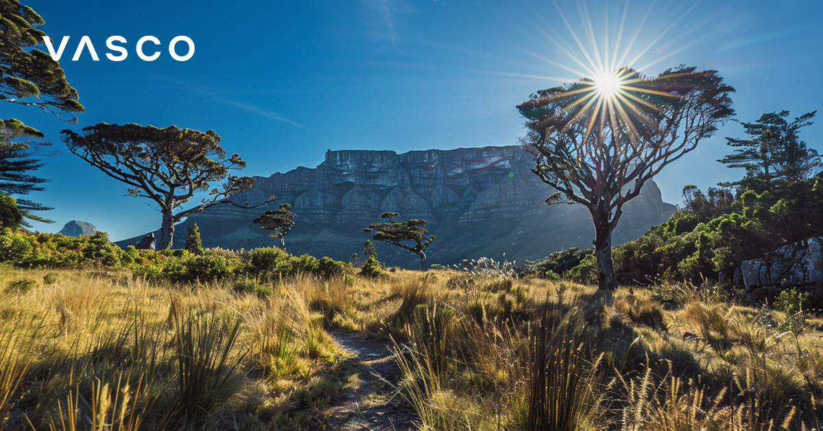 A picture of an African land with mountains far away.