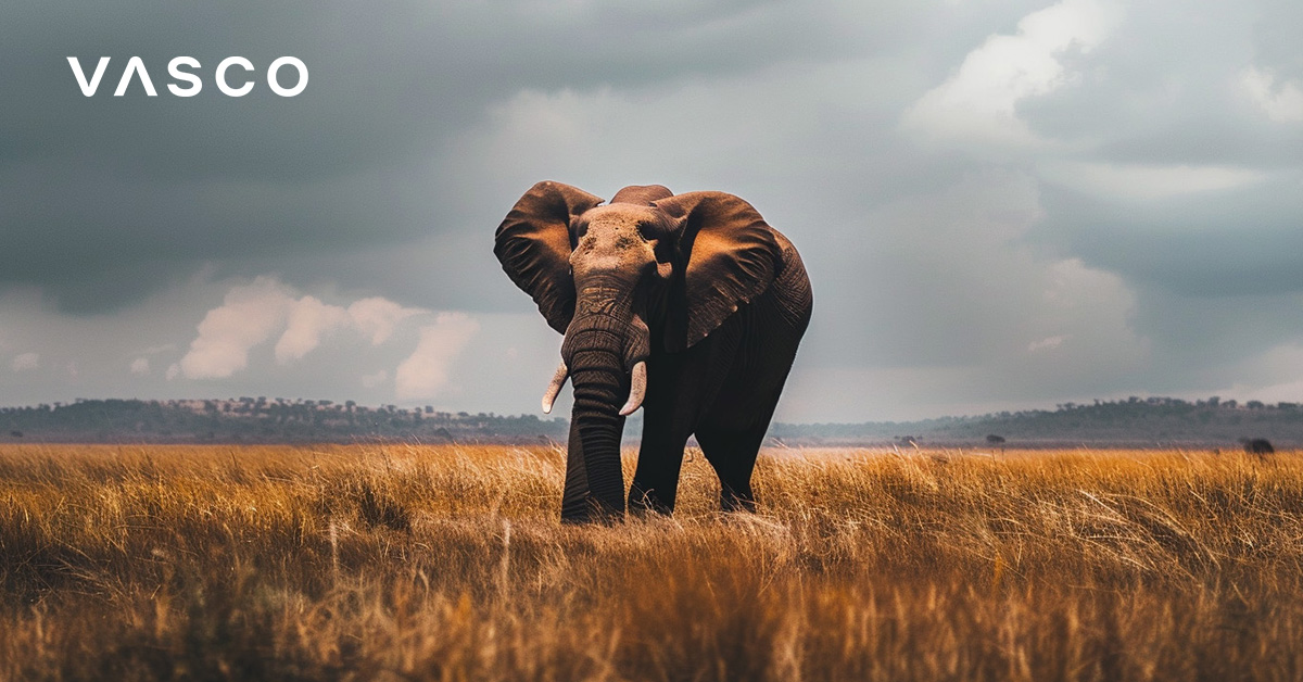 An elephant is traveling through an African land.