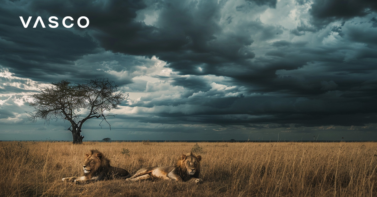 A picture of 2 lions who are resting.