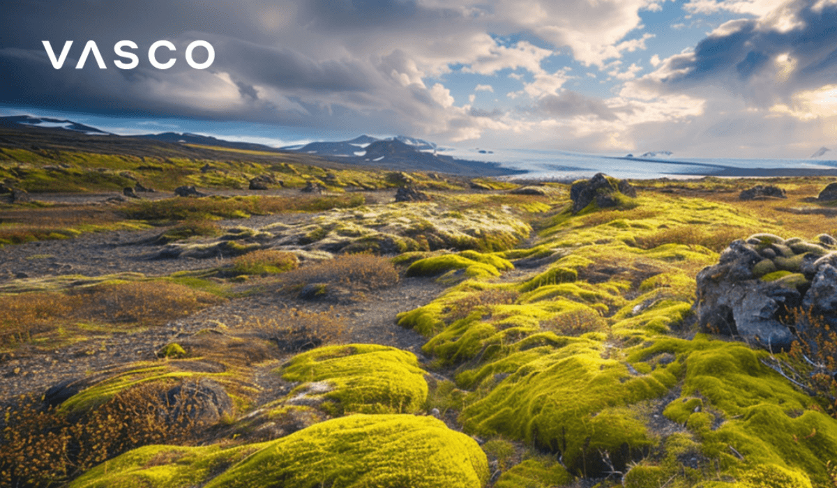 The picture of an Icelandic landscape.