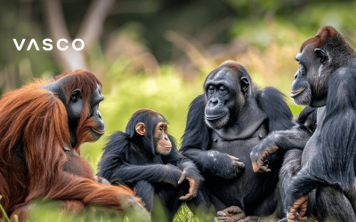 How Do Apes Communicate? We Explain Ape Sign Language