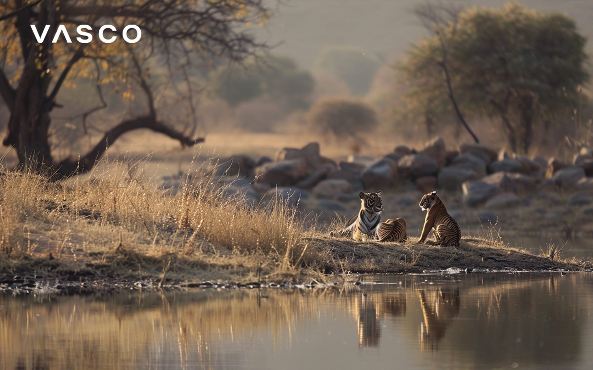 Two leopards resting by a river in a serene, sunlit savanna landscape