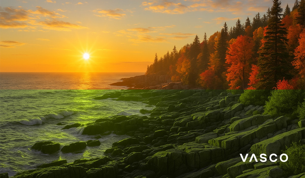 rocky coastline with colorful autumn forest at sunrise