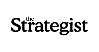 the strategist icon