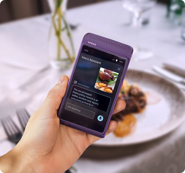 Vasco Q1 Translator displaying Vasco Assistance on the screen — showing a photo of a dish and an AI-generated description of the meal visible in the image.
